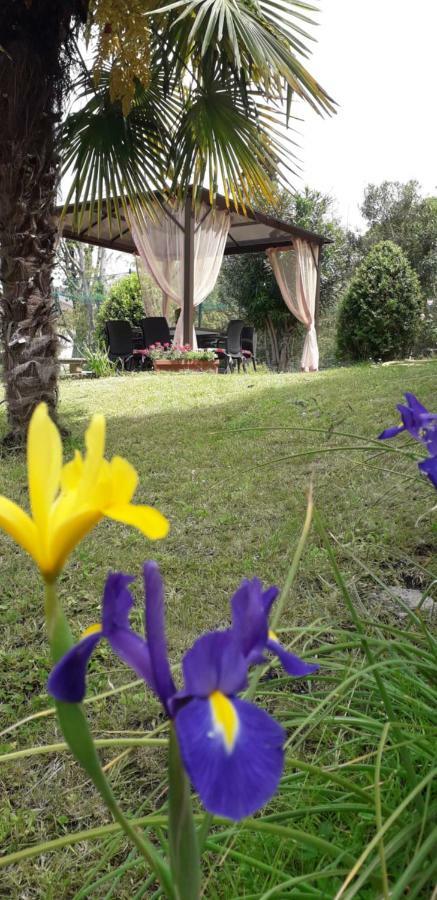 ホテル Casa Betania Casa Per Ferie フィレンツェ エクステリア 写真